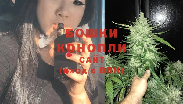спиды Арсеньев