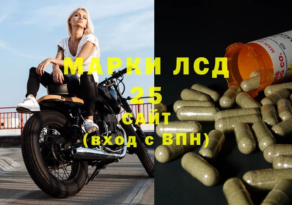 спиды Арсеньев