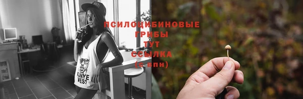 спиды Арсеньев