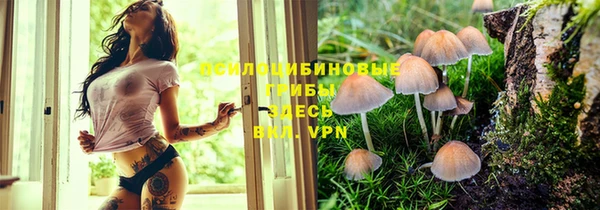 эйфоретик Аркадак