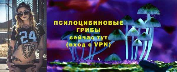 трава Армянск