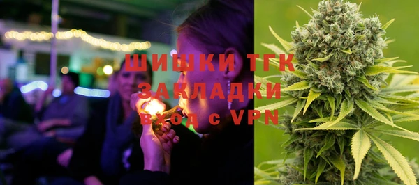 эйфоретик Покачи